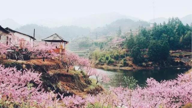 中國(guó)的桃花源和西方的烏托邦，是全人類的精神遺產(chǎn)